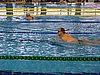 v_P1211033.JPG