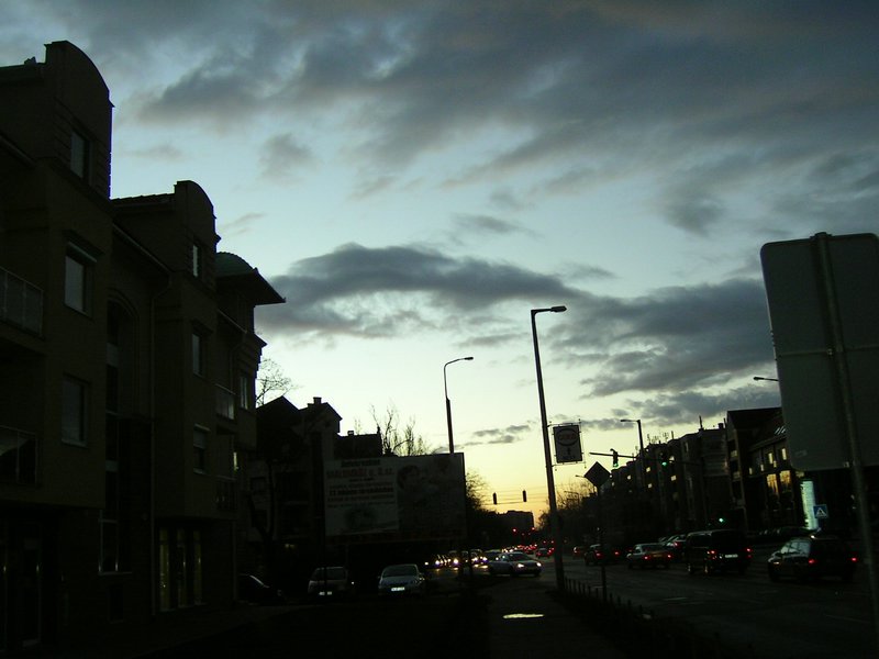 PICT1381.JPG