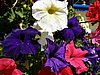 ke_P7010326.JPG