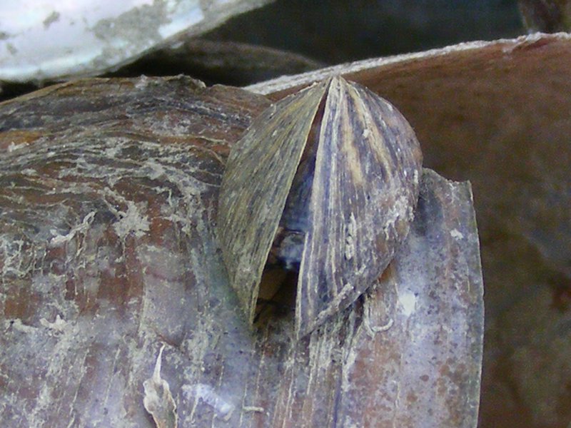 2008_0802Abdszalk0124.JPG