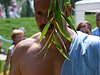 2008_0802Abdszalk0042.JPG