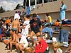 ob_044.jpg