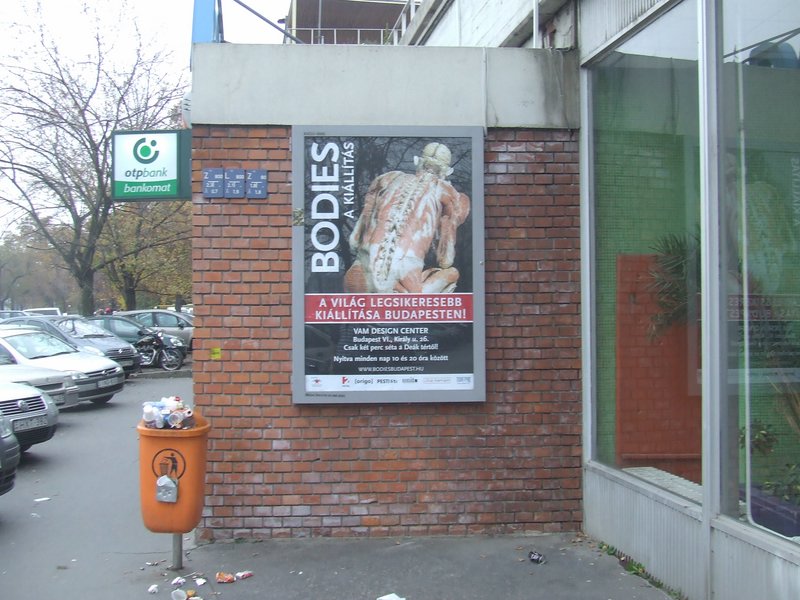 DSCF6954.JPG
