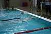 IMG_6948 copy.jpg