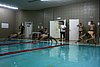 IMG_6981 copy.jpg