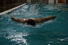 IMG_6997 copy.jpg