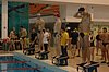 DSC_1061.JPG