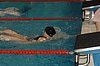 DSC_1103.JPG
