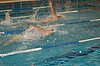 DSC_1125.JPG