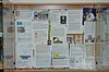 DSC_1176.JPG