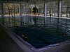 PIC_0802.JPG