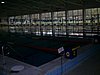 PIC_0803.JPG