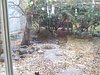 DSCF7740.JPG