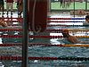 DSCF0411.JPG