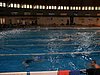 pic_1638.jpg