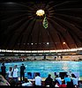 [Group 3]-DSC_1973_DSC_1975-3 images.jpg