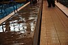 DSC_1866.JPG