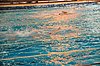 DSC_1984.JPG