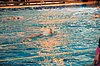 DSC_1986.JPG