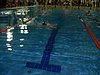 PIC_1559.JPG